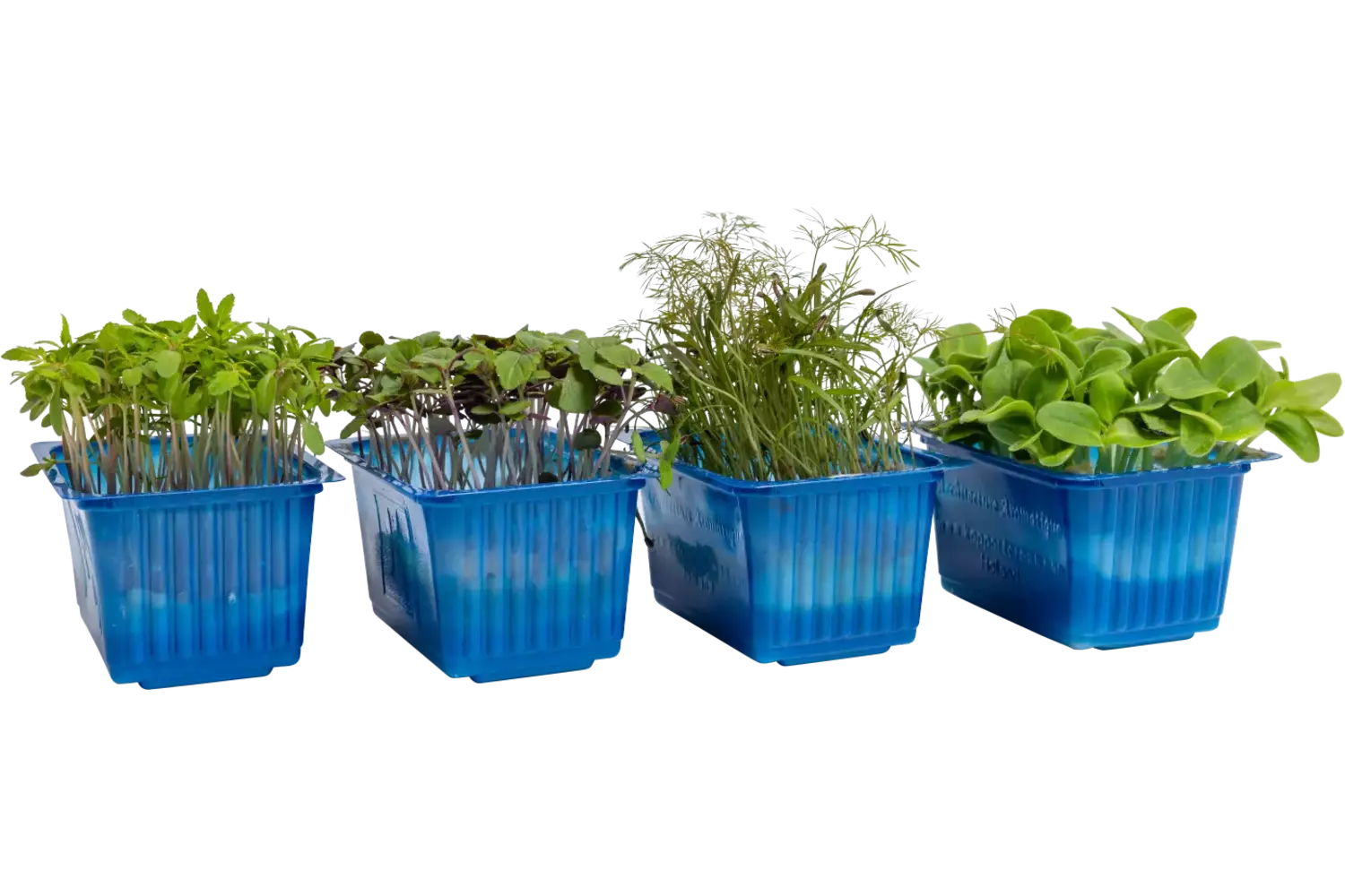 Cocktail mix kist 8 stuks